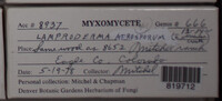 Image Associated With the Occurence
